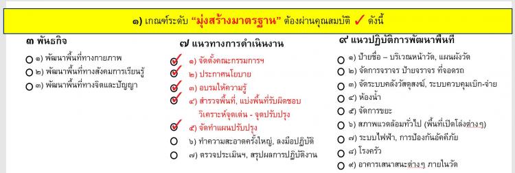 ระดับมุ่งสร้างมาตรฐาน